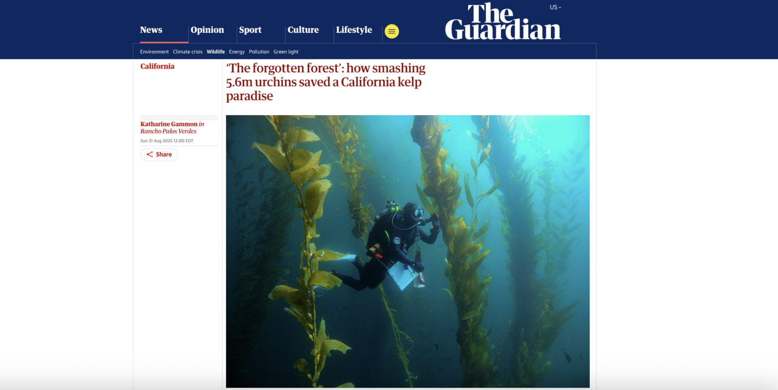 The Guardian article display on its website, showing image of TBF scuba diver underwater in a kelp forest